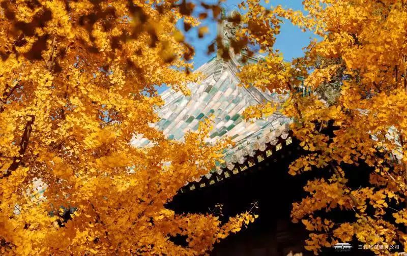 繽紛三孔 | 多彩秋日游，享受視覺盛宴！一起“趣”三孔吧