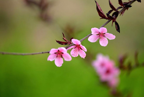 嚴(yán)冬過后是陽(yáng)春