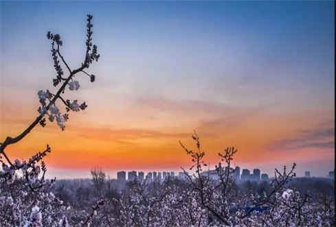 關(guān)于中央、省、市出臺(tái)的促進(jìn)企業(yè)復(fù)工復(fù)產(chǎn) 政策及主要內(nèi)容解讀