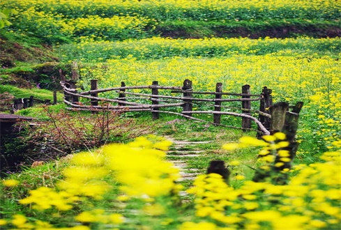 扎實(shí)做好“六穩(wěn)”“六?！惫ぷ?促進(jìn)經(jīng)濟(jì)秩序加快恢復(fù)轉(zhuǎn)型發(fā)展加力提速