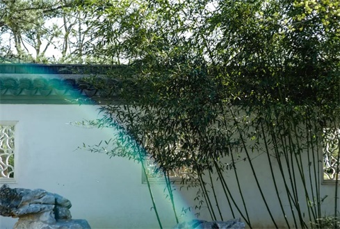 第二屆“孔子文旅杯”游客最喜愛的 文旅商品評選活動(dòng)啟動(dòng)