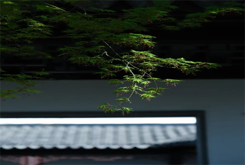 我省出臺(tái)全面做好“五一”假期期間疫情防控三十條措施