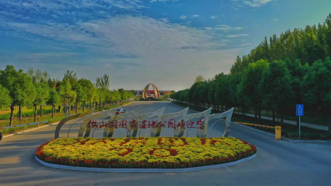 “云游”多彩濕地：濟(jì)寧微山湖濕地帶您領(lǐng)悟獨(dú)特的濕地之美！