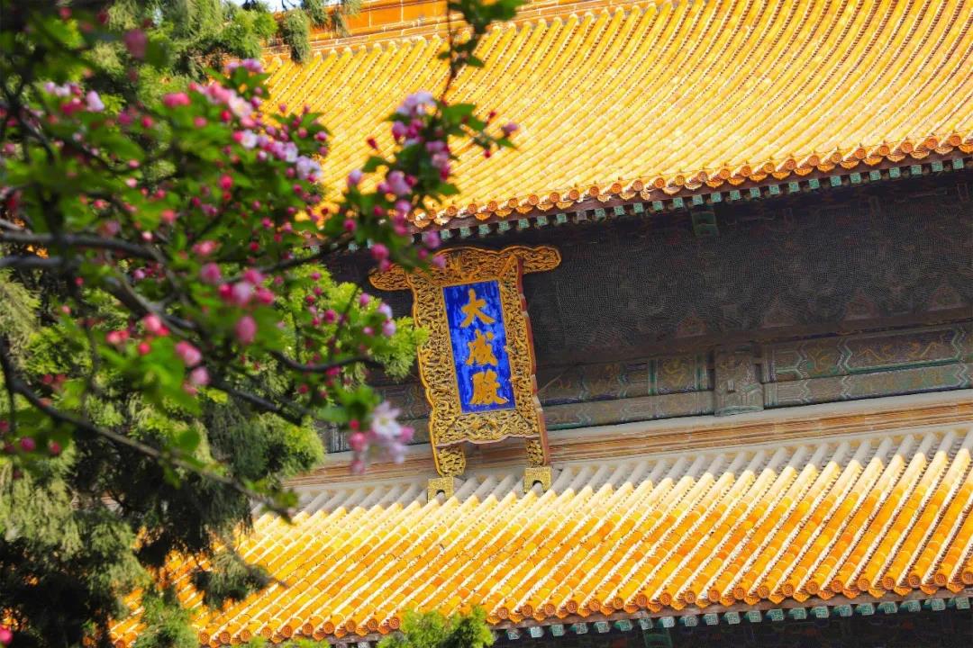 五一出游攻略 | 孔子文旅集團這些景區(qū)歡迎打卡！